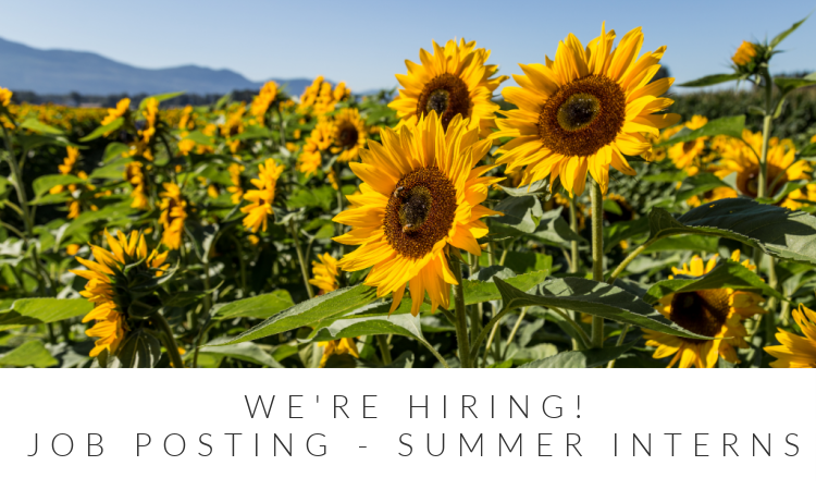 we're hiring, job posting - summer interns
