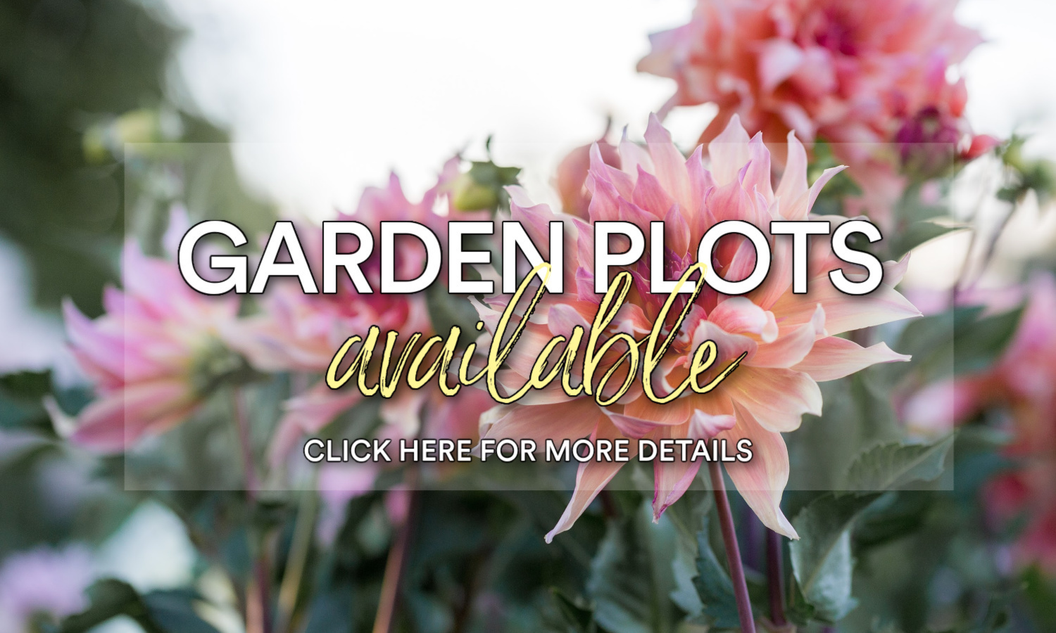 garden plots available click here for more details