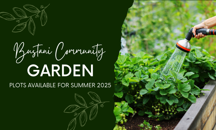 bustani community gardens - plots available for summer 2025