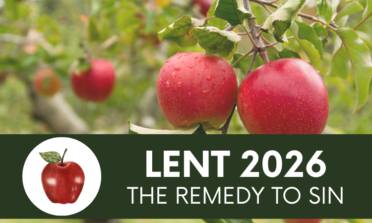 Lent 2026 The Remedy to Sin